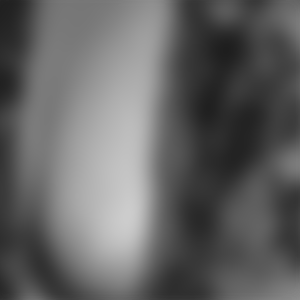 rencontre-Cherbourg-en-Cotentin